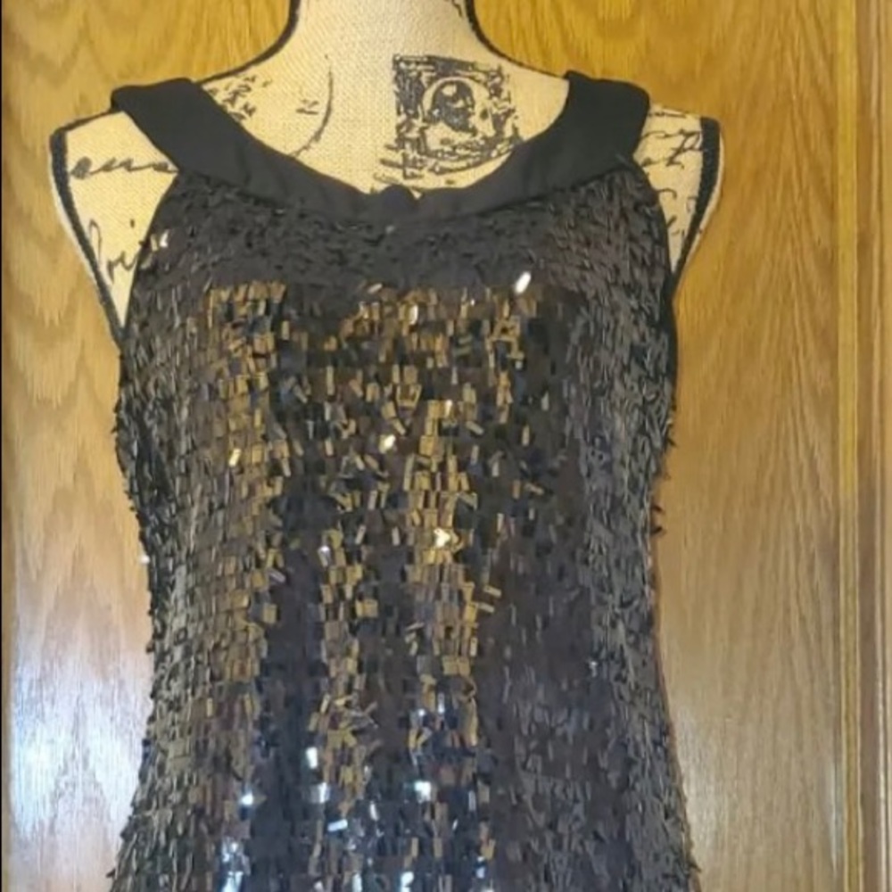 NWOT size 12P swing cocktail dress